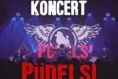 Pudelsi