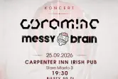 Coramine & Messy Brain