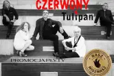 Czerwony Tulipan